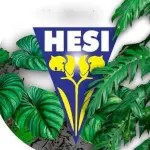 HESI